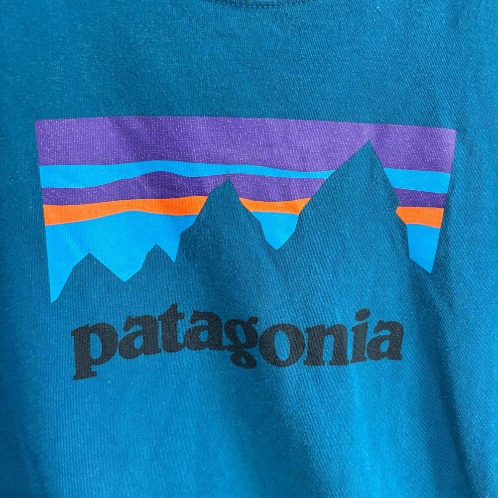 Patagonia Men’s Crew Neck Long Sleeve Logo Shirt Blue Size Medium - Picture 2 of 4